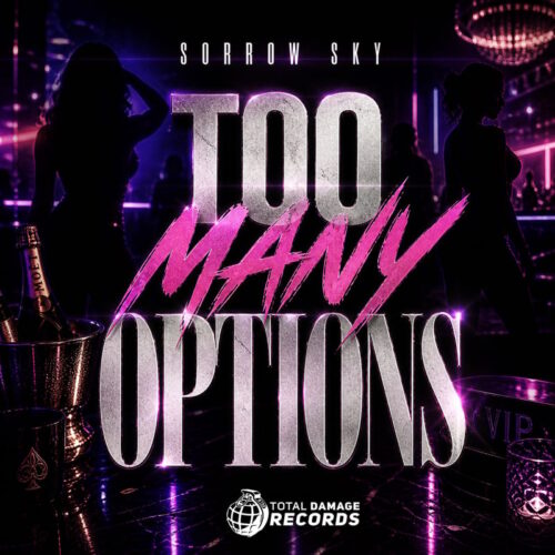 – Too Many Options Artwork – Too Many Options Artwork